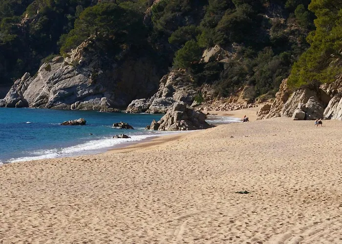 Casa Blanca 19 - Piscina, Bbq Y Wifi * Tossa de Mar